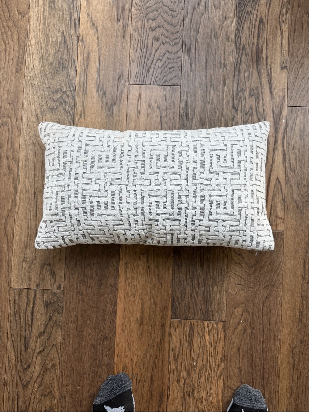 West Elm Allover Crosshatch Jacquard Velvet Lumbar Pillow